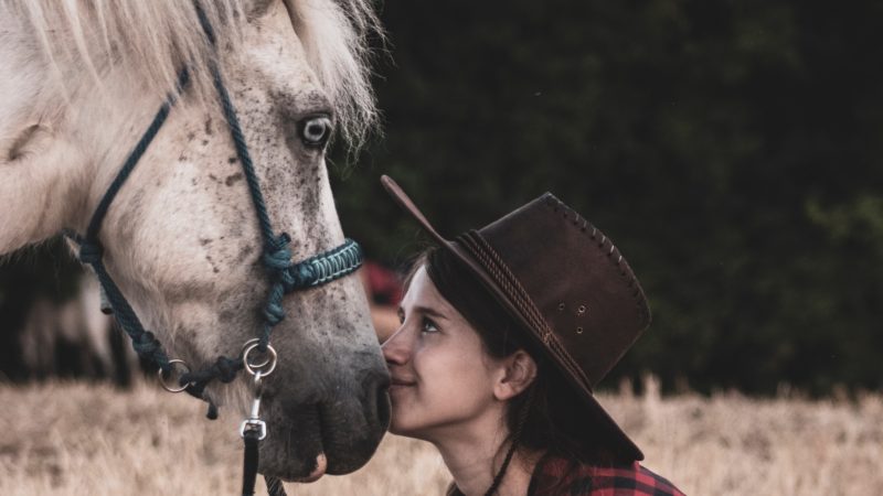 Il focus a cavallo, obiettivi, direzione (da una, da qualche, da nessuna parte)