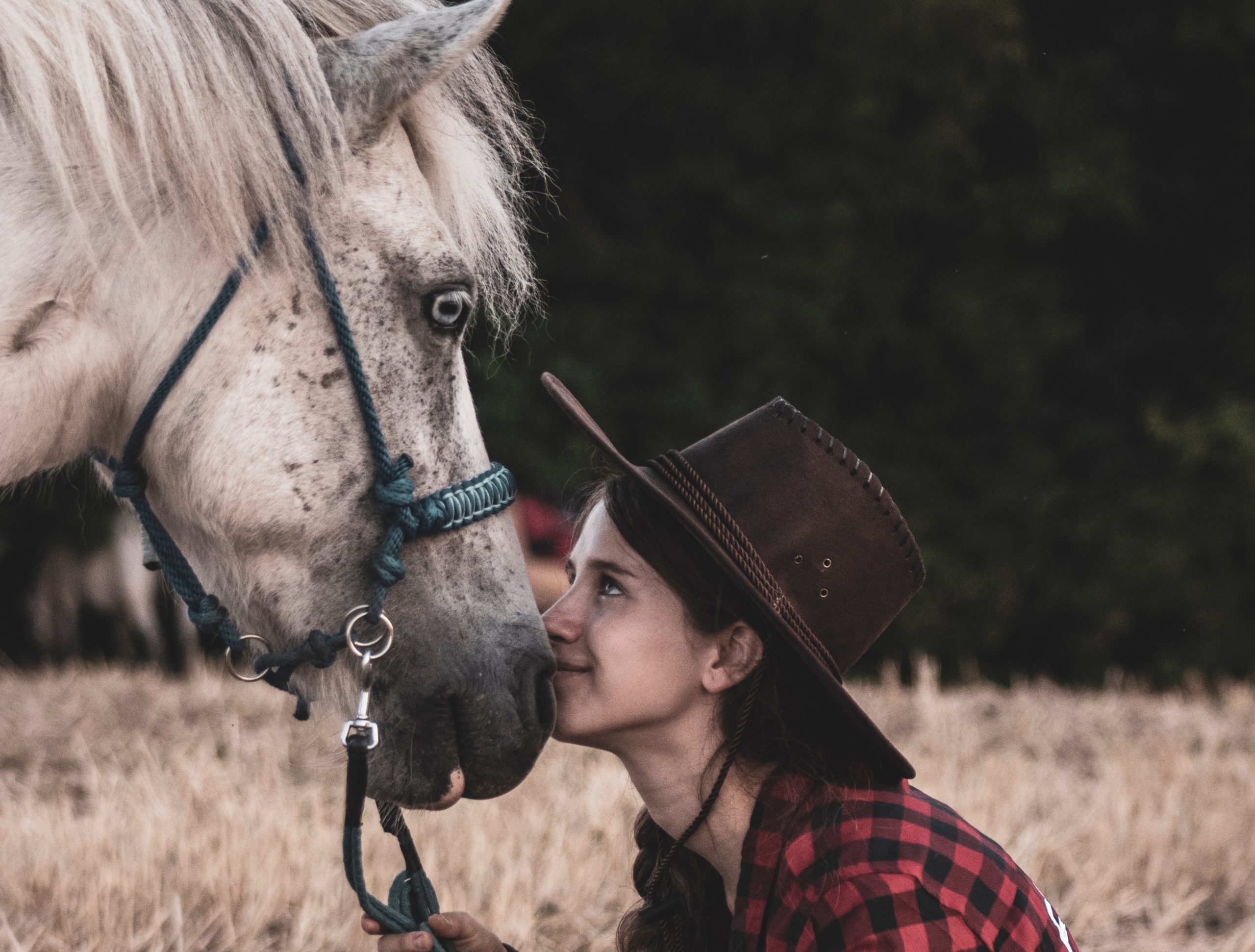 Il focus a cavallo, obiettivi, direzione (da una, da qualche, da nessuna parte)