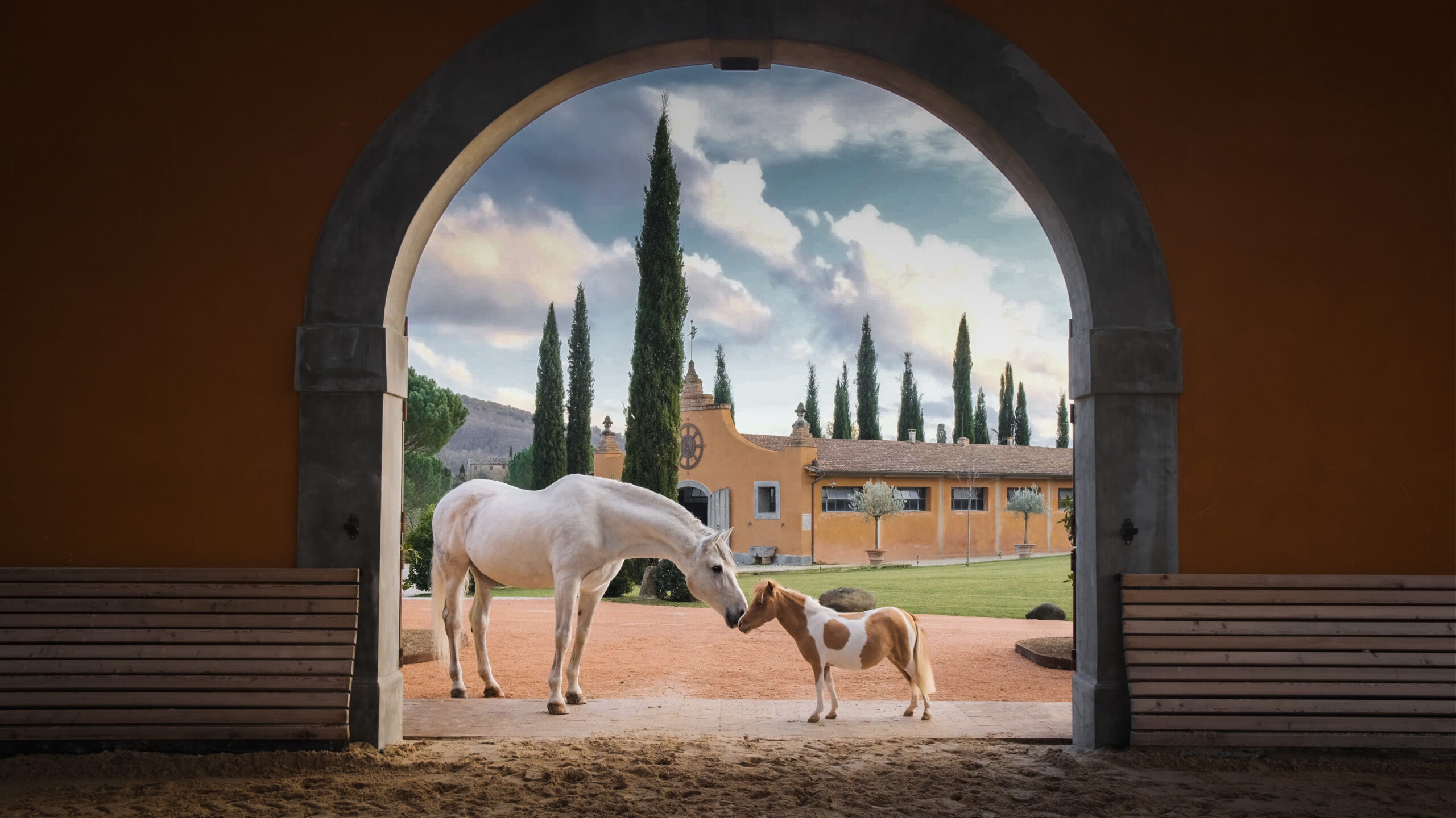 Al castello di Reschio per danzare con i cavalli spagnoli