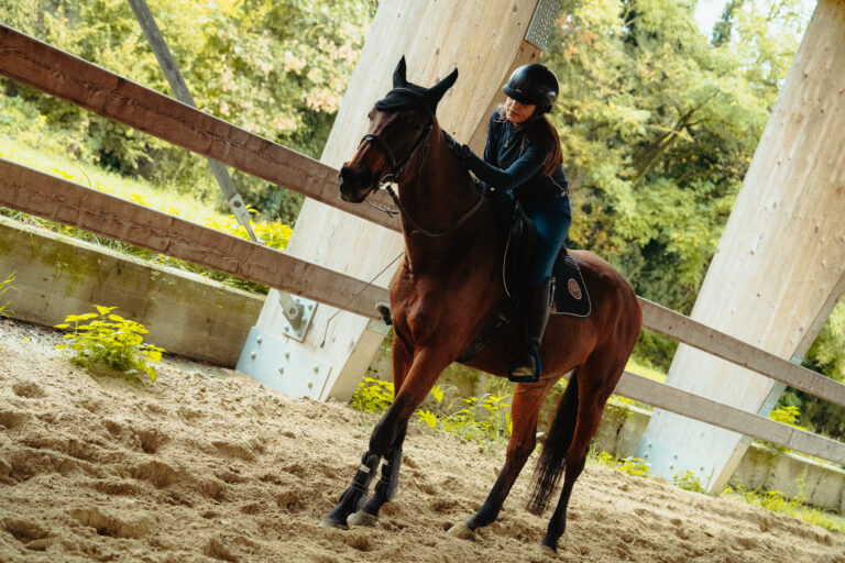 Io e Safe, la mia cavalla. Cosa sapere prima di comprare un cavallo